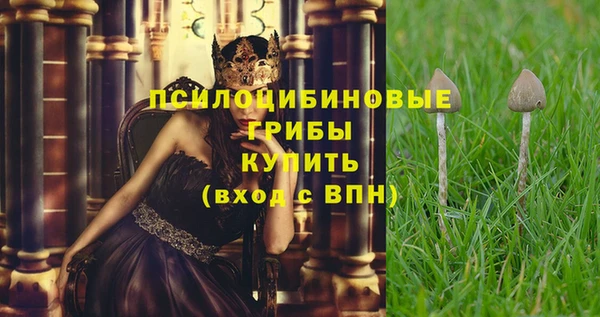 a pvp Арсеньев