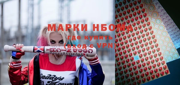 Альфа ПВП Дубна