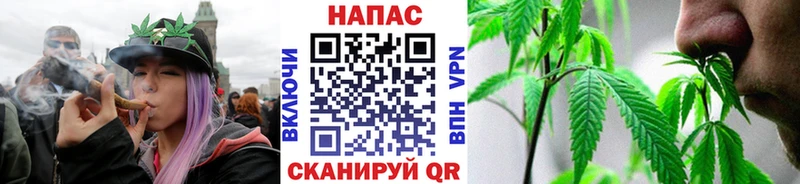 KRAKEN зеркало  где купить наркоту  Краснослободск  Бошки марихуана сатива 